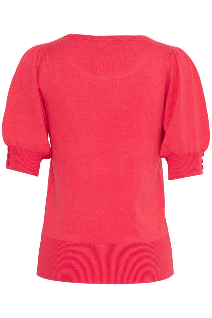 Fransa Short Sleeved Top Teaberry